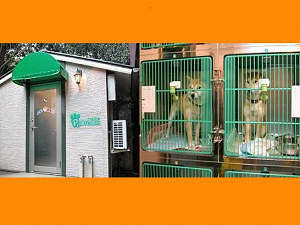 ��������@���򋽁@��Â�F�w�y�b�g�̂���ǁx