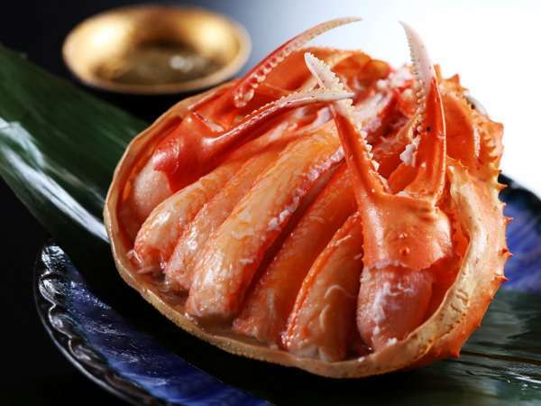 �y�a���̏h�@�����V�[�T�C�h�z�e���z �S���I�[�V�����r���[�@�C�ƈ�̂ɂȂ��A���ʂȏh�B