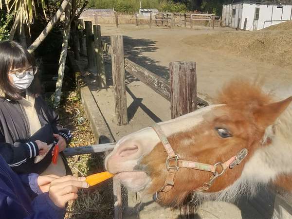 ぽかぽか村 宿泊予約は じゃらんnet