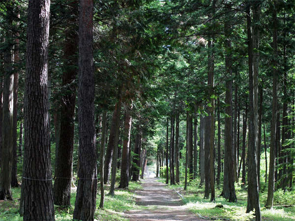 *大芝高原内施設《みんなの森》/森林セラピーロードに認定されています。