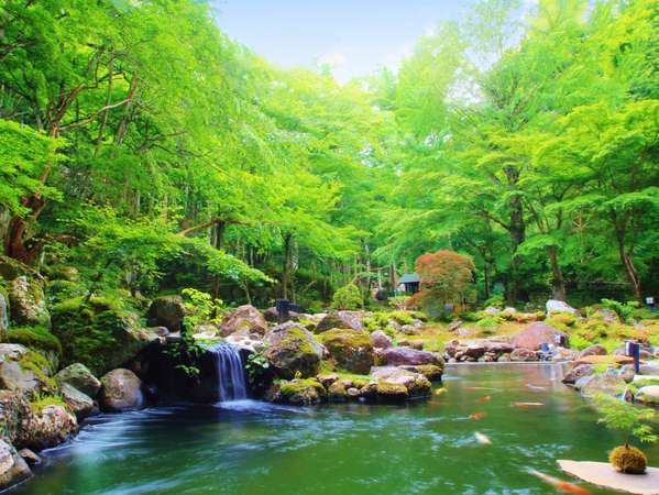 風薫る新緑の息吹に身を委ねる、１万５千坪の壮大な敷地にある日本庭園（新緑イメージ）