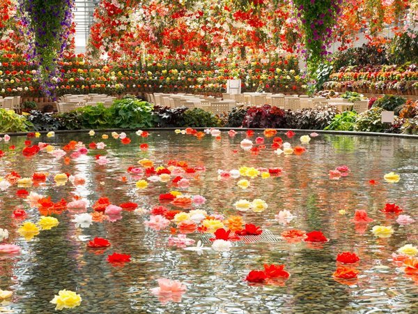 ガーデンホテル オリーブ 宿泊予約は じゃらんnet