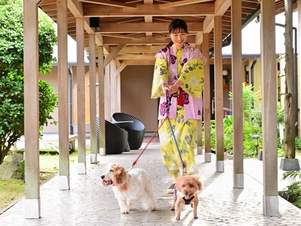 �y��h�@�͂Ȃ��сz�ߘa5�N���j���[�A���I�y�b�g�Ɣ��܂���C�̍K�������̉���h�B