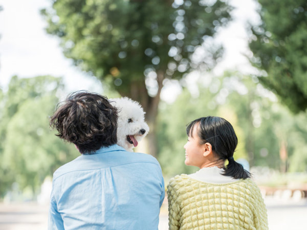 �����h�m�m�@��z�����w�����F�y�b�g�̏h������