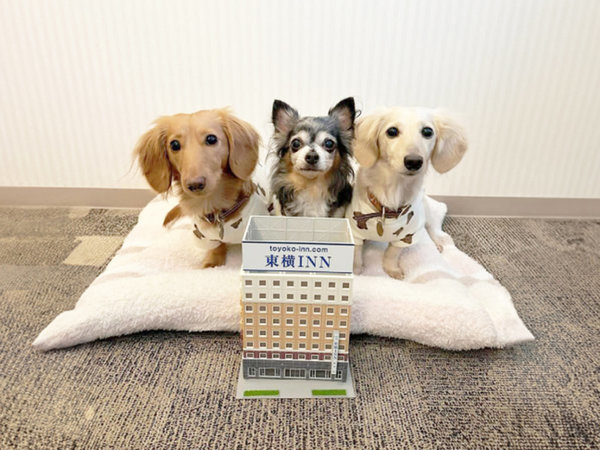 �����h�m�m�@��z�����w�����F���������3�C�ƃ��[�Y�i�u���X�e�C