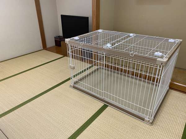 �ɓ����O���i���c�ό����]�[�g�j�F������