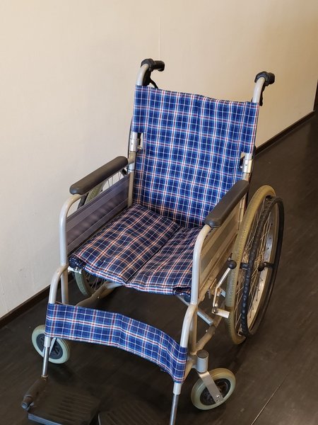 �ɓ����O���i���c�ό����]�[�g�j�F�Ԉ֎q�̑ݏo