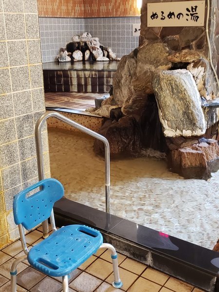 �ɓ����O���i���c�ό����]�[�g�j�F�嗁��ɂ��o�X�`�F�A