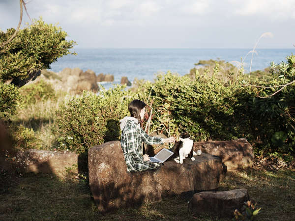 屋久島 旅人の宿 まんまる 宿泊予約は じゃらんnet