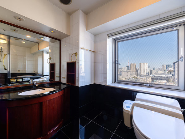 �A�p�z�e���q�����z�r�F�E�ߏꂩ��̒��]