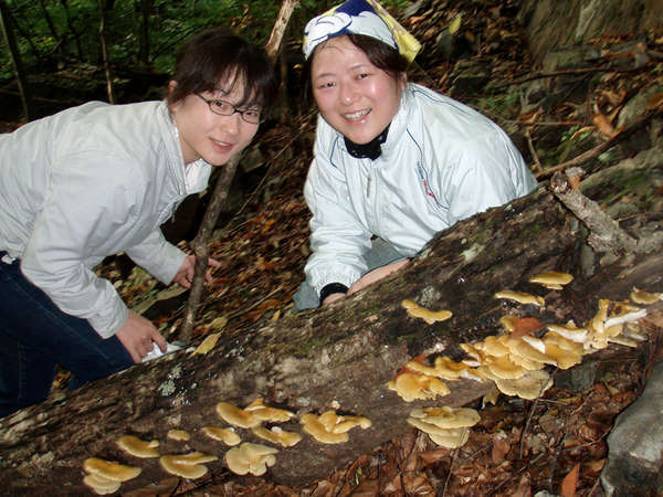 廣瀬屋旅館 宿泊予約は じゃらんnet