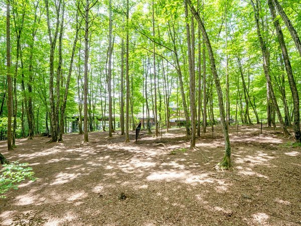 �����p���_�C�X �����x�Fdog park �z��