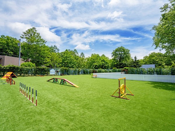 小型犬優先エリアを新設したdog park