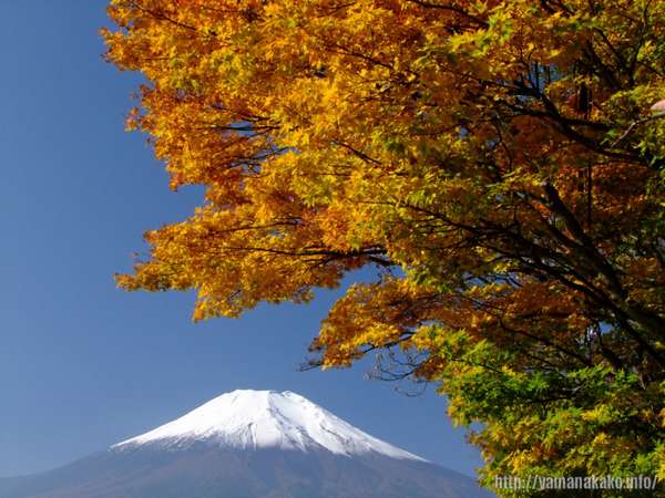 フォレストリゾート 山中湖秀山荘 宿泊予約は じゃらんnet