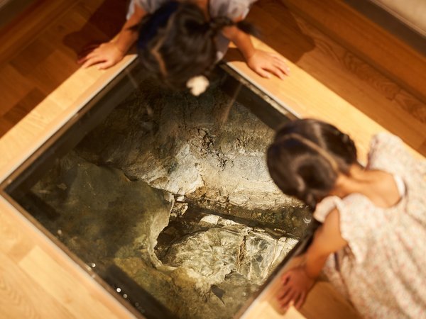 �y�L������ �悵����-���ƌ��򂩂������̏h-�z�y2022�N���j���[�A���z�n��300�N�̌���|�������̓��h