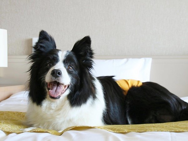 �ق����炩���̏h �䂤�ӂ�ɓ������F��񂿂����ꏏ�ɏA�QOK