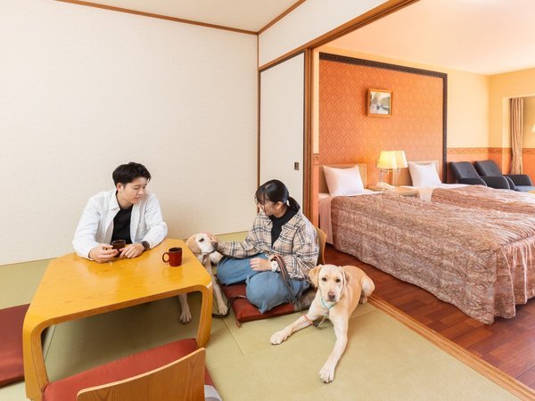 �ق����炩���̏h �䂤�ӂ�ɓ������F��񂿂��Ɣ��܂��y�h�b�O�t�����h���[���[���z