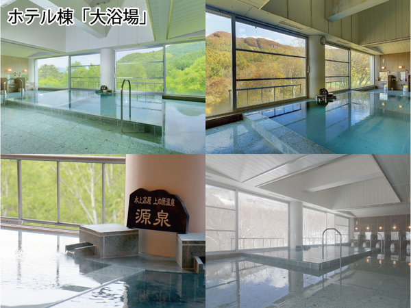 �z�e�����u�嗁��vpH�l�����������ʂ���Ƃ���悤�ȏ_�炩�Ȕ��G��B�邷�ׂ��������҂ł���B