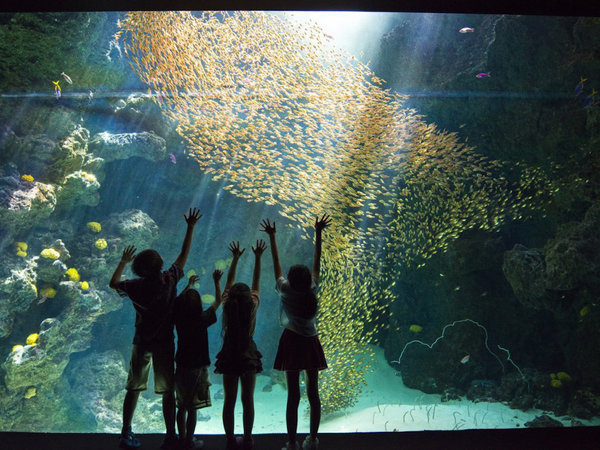 ���킫���V���g���z�e���F�A�N�A�}�����ӂ����܁i���ق���ԂŖ�30���j