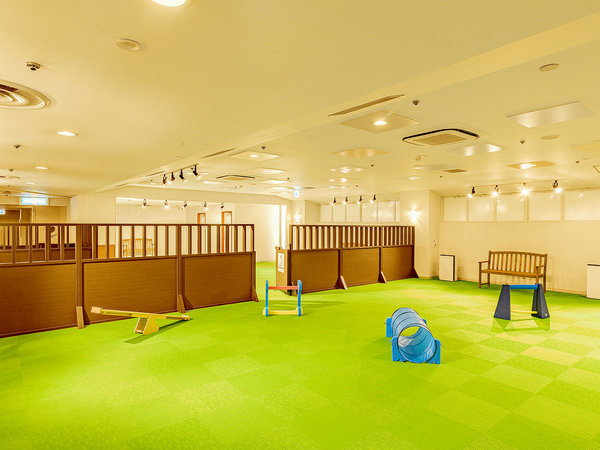 屋内ドッグラン