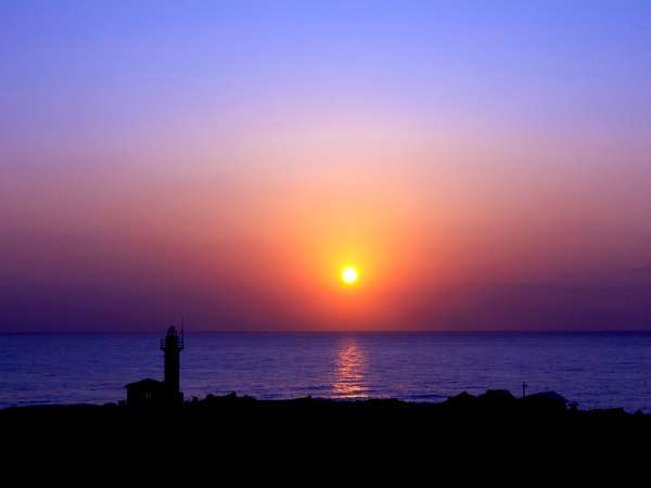 �A�C�����h�@�C���@���V���̎{�ݎʐ^2