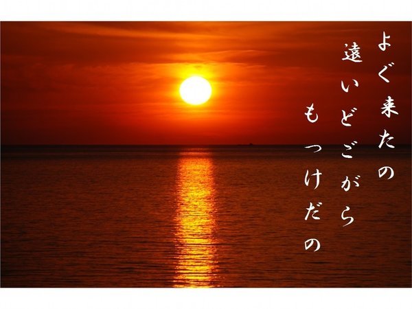 �y�z�e���e�g�����]�[�g�߉��z������`���10���Ń`�F�b�N�C��������|�������̉���