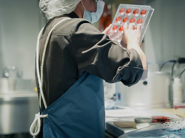 ASBO STAY HOTEL�i�A�X�{�X�e�C�z�e���j�F�l�G�܁X�̉���f�ނ����������V���R��