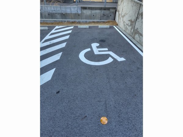 ���ꂽ���C���v���~�A���������w�O�i2023�N1��15���I�[�v���j�F��������蒓�ԏ�