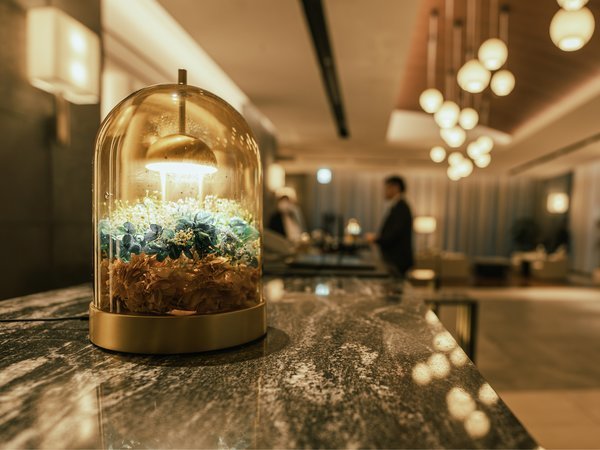 ��2�K���r�[