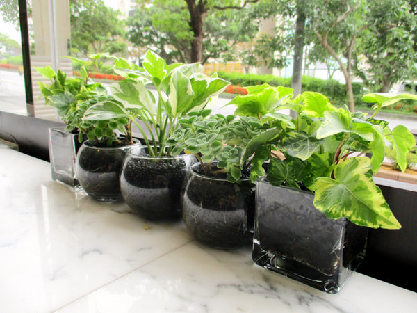 �r�W�l�X�J�E���^�[