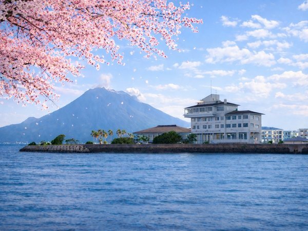リブマックスリゾート桜島シーフロント（旧:垂水 アザレア） - 宿泊
