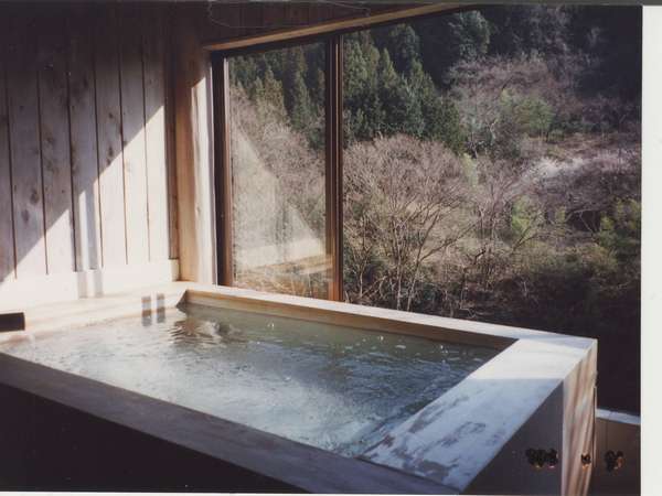 陣谷温泉 藤野駅から車で15分の旅館 130円より 露天風桧風呂 猪鍋馬刺し川魚山菜など 神奈川県 デゴイチよく走る Sl沿線宿泊情報