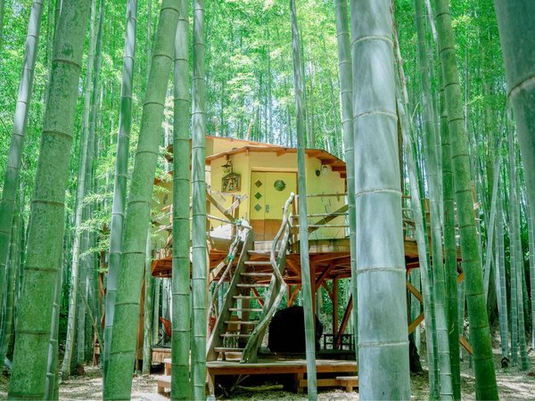 THE BAMBOO FOREST - 宿泊予約は＜じゃらんnet＞