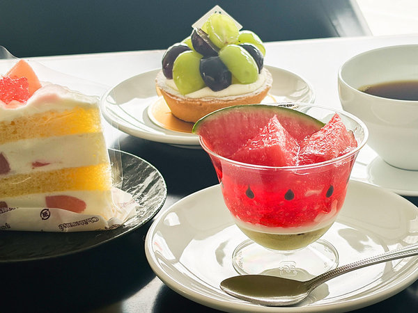 �V���g���[�[�z�e������