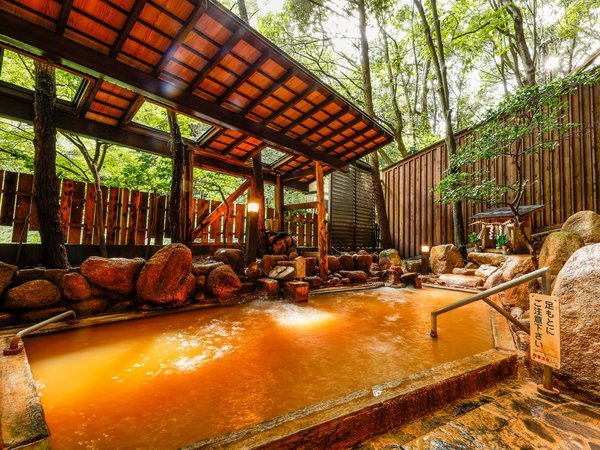 yIVCFʖg̓zƌ̘IVCB̂炬𕷂Ȃ͍̉ōґB