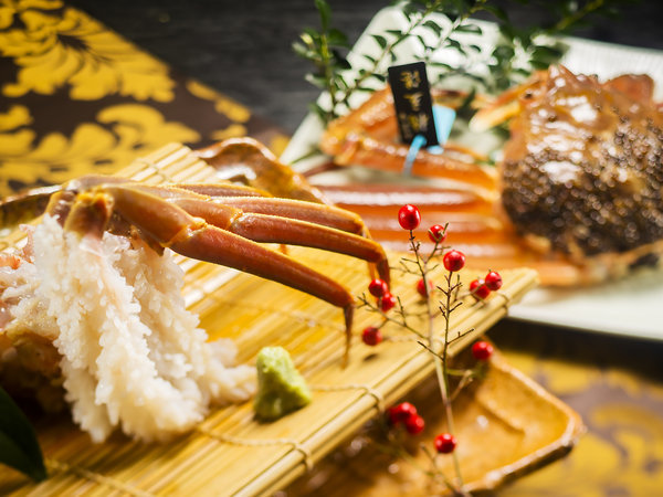 �y�R������@���Ԍ��v���q�z�V�N�Y���C�I���ΐ�O��������Ԕ��������`�ŁB��i�ݐؘI�V������