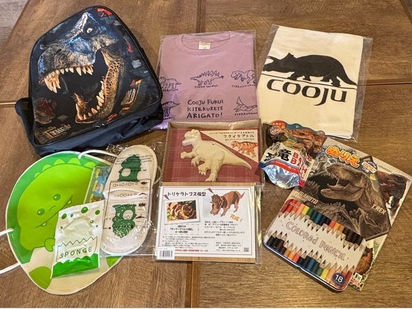 �z�e�� �N�[�W�����䁃HOTEL  cooju  fukui���F���������ɏh���̂��q�l��