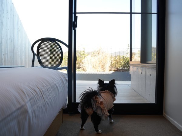 人気No3　愛犬と一緒に泊まれる　ドッグテラスルームも9室ご用意しております。