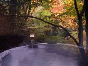 �C�Ξց@�΂��F�������߂͏H�̘I�V���C