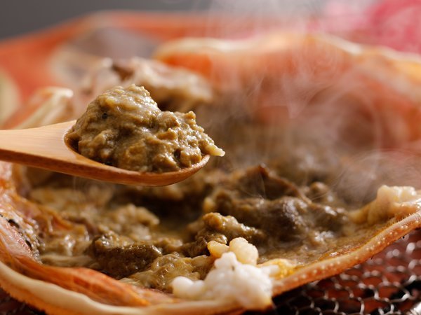 �y�[�����Y����@����������l�̉B��Ɓ@�C�Ԓ��@�Ԍ�O�z�y�����񔄂ꂽ�h��܁E2�N�A����܁z�I�V���C�t�q���~���H��