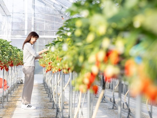 �z�e�����݂̂������t�@�[���u���C�����X�g���x���[�p�[�N�v�ł��������(�t�G����)