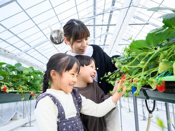 �y�����L���[�����s�{�Ã��]�[�g���X�p�z�V�����ƃI�[���C���N���[�V�u�𖞋i�B�����������������߁B