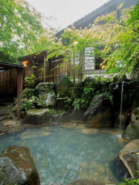 �؁X�Ɉ͂܂ꂽ�j���p�I�V���C�ł��B