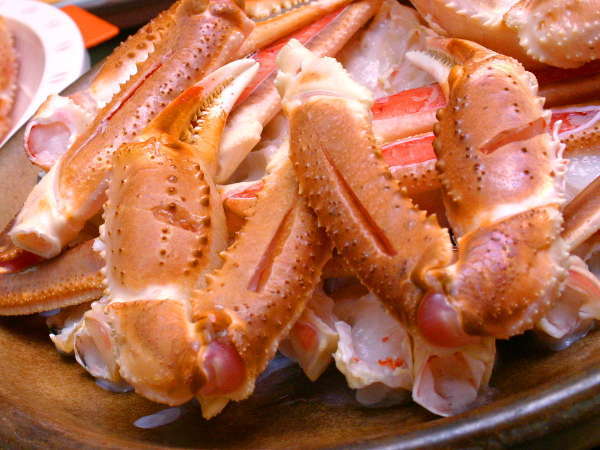 香住の旬を味わう宿 たきもと 宿泊予約は じゃらんnet