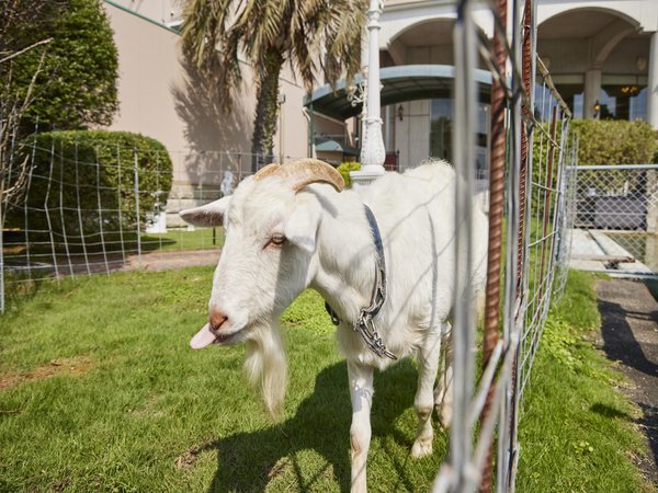 ���񂿂��ɉa���̌����ł��܂��I