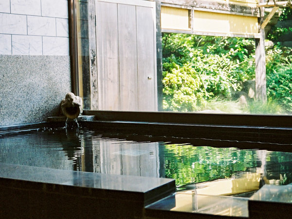 �u�L�n�̓��v�ł������Ƃ��������������B