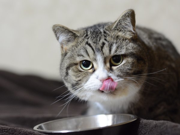 �j���[���̃z�e����̊O�ώʐ^