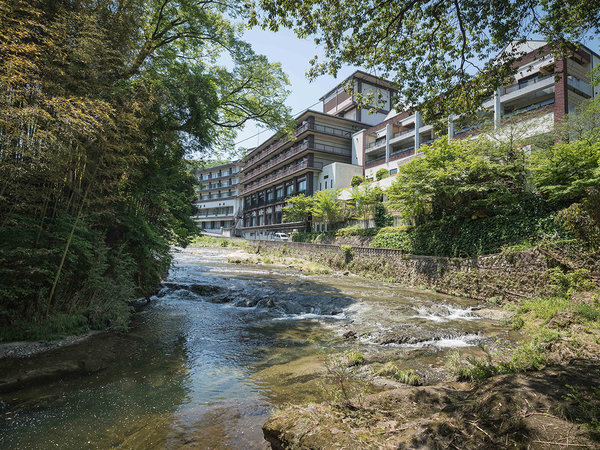 じゃらん コレクション 枕水館