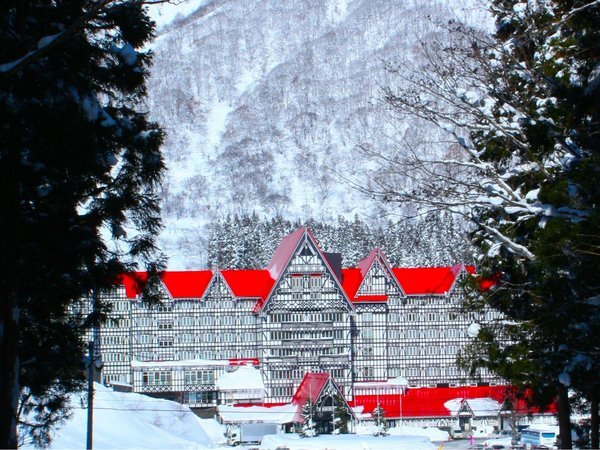 満天の星空！『白馬の星空観察』開催！/ホテルグリーンプラザ白馬の