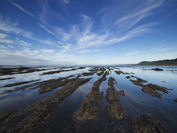 ��l�̉B��h�@��[������@���B���ِ��s�F��[���̊C����O��